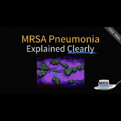 MRSA Pneumonia Explained Clearly - Medcram