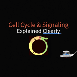 MedCram Reviews - Cardiology