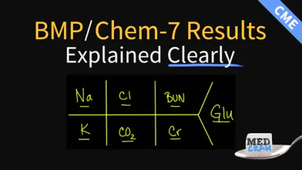Understanding the Basic Metabolic Panel: A Key to Health Insight