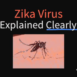 Zika Virus Explained Clearly