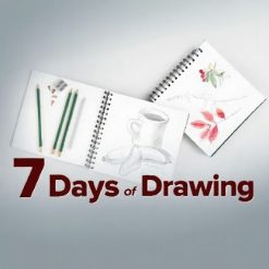 7 Days of Drawing