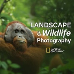 The National Geographic Guide to Landscape and Wildlife Photography