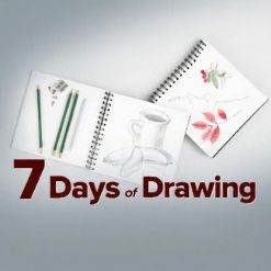 7 Days of Drawing