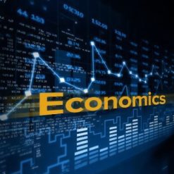 Made with insMind-economics