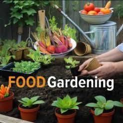 Made with insMind-food gardening