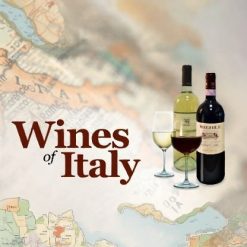 Made with insMind-wines of italy
