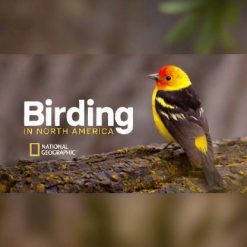 The National Geographic Guide to Birding in North America