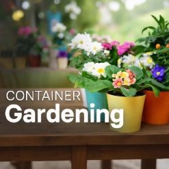 How to Grow Anything: Container Gardening Tips & Techniques