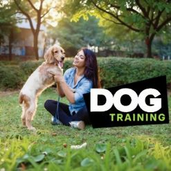 Dog Training 101