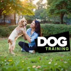 Dog Training 101