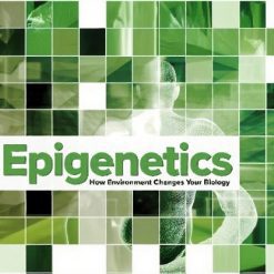 Epigenetics: How Environment Changes Your Biology