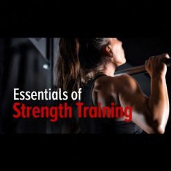 essentials of strenght training