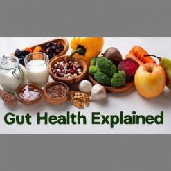 gut health explained