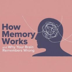 How Memory Works and Why Your Brain Remembers Wrong