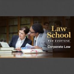 Law School for Everyone: Corporate Law