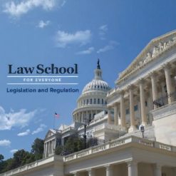 Law School for Everyone: Legislation and Regulation