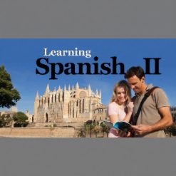 Learning Spanish II: How to Understand and Speak a New Language