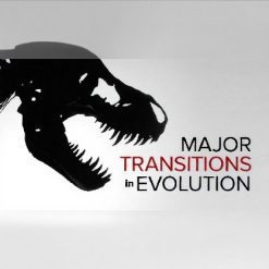 Major Transitions in Evolution