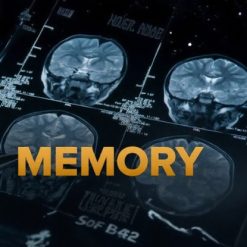 Memory and the Human Lifespan