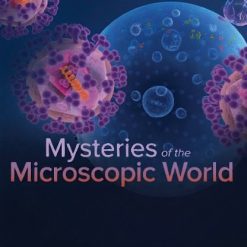 Mysteries of the Microscopic World