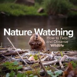 Nature Watching: How to Find and Observe Wildlife