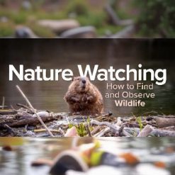 Nature Watching: How to Find and Observe Wildlife