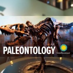 Introduction to Paleontology