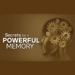 Scientific Secrets for a Powerful Memory