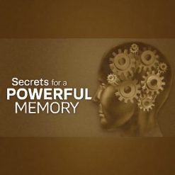 Scientific Secrets for a Powerful Memory