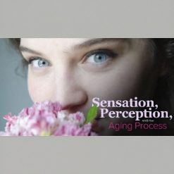 Sensation, Perception, and the Aging Process