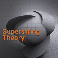 Superstring Theory: The DNA of Reality
