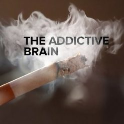The Addictive Brain