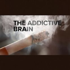 The Addictive Brain