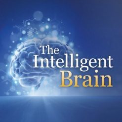 The Intelligent Brain