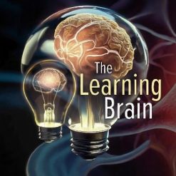 The Learning Brain
