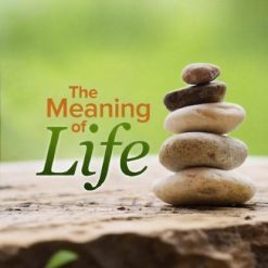 Meaning of Life: Perspectives from the World's Great Intellectual Traditions