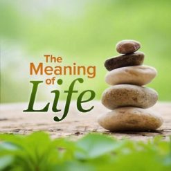 Meaning of Life: Perspectives from the World's Great Intellectual Traditions
