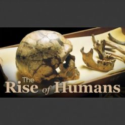 The Rise of Humans: Great Scientific Debates