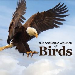 The Scientific Wonder of Birds