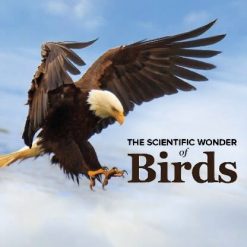 The Scientific Wonder of Birds