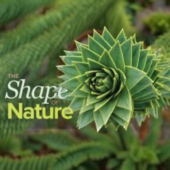 The Shape of Nature