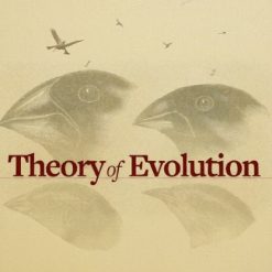 Theory of Evolution: A History of Controversy