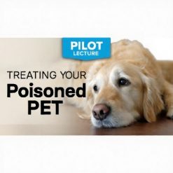 treating your poisoned pet