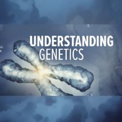 Understanding Genetics: DNA, Genes, and Their Real-World Applications