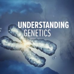 understanding genetics