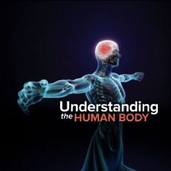 understanding the human body