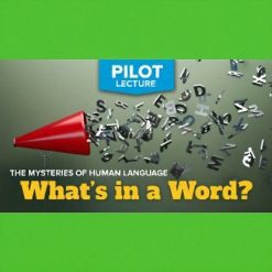 Pilot Lecture: The Mysteries of Human Language—What’s in a Word?