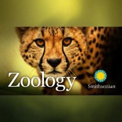 Zoology: Understanding the Animal World
