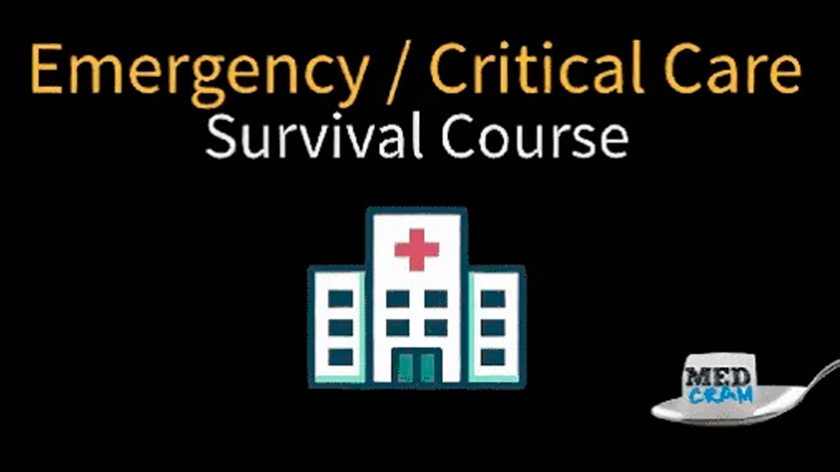Emergency Medicine and Critical Care Survival Course