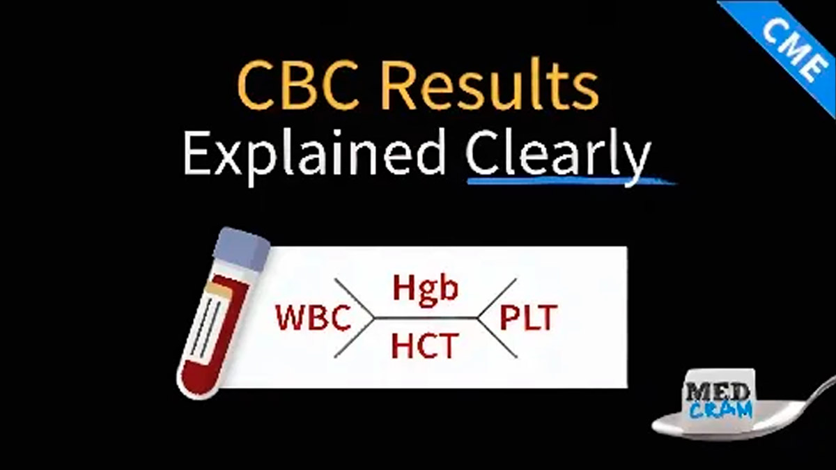 Understanding CBC Results: A Comprehensive Guide